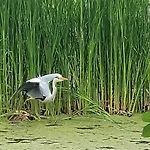In Strandnähe Mit Kamin Und W-lan Lobbe